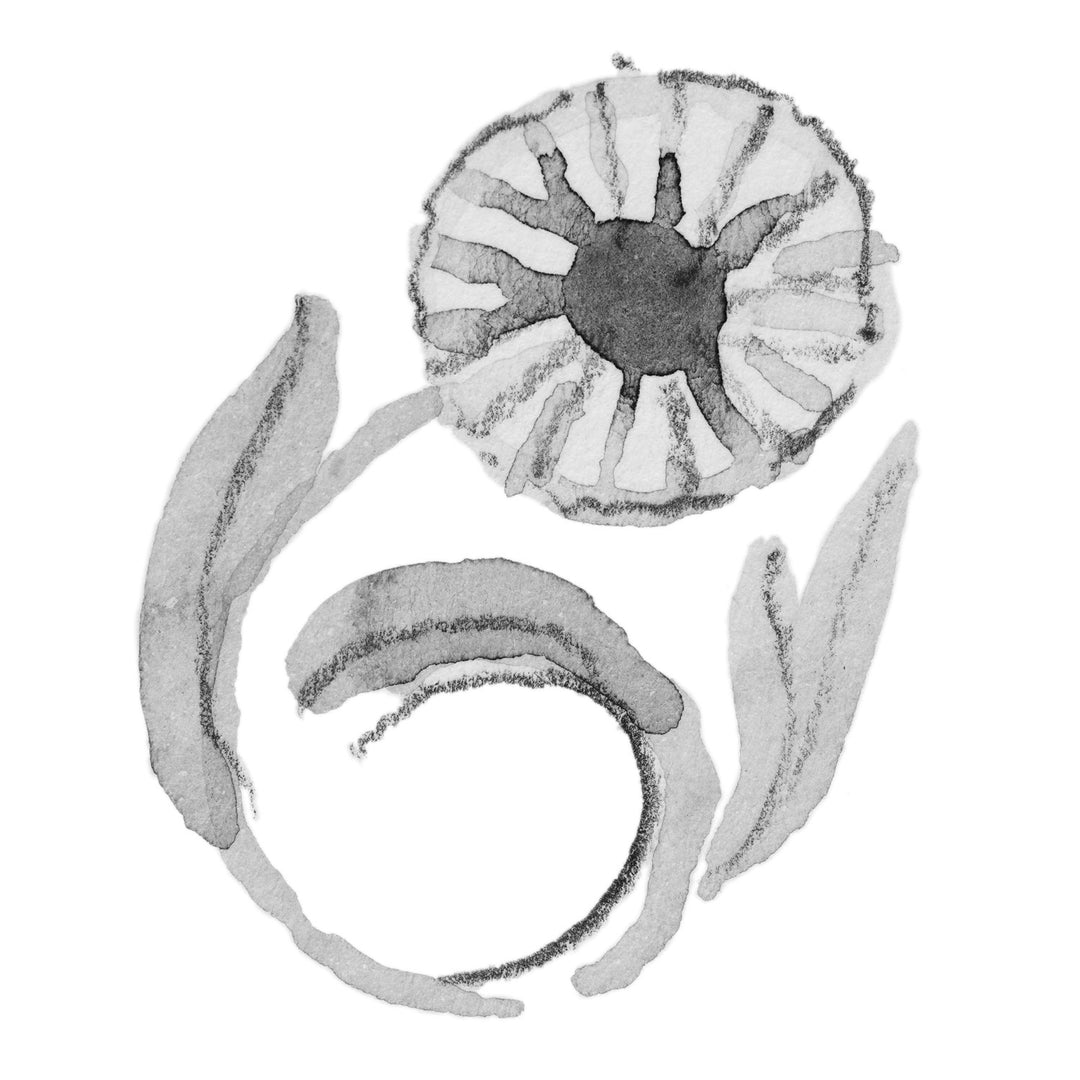 Daisy of April Bead – Trollbeads