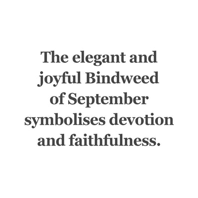 Bindweed of September Bead