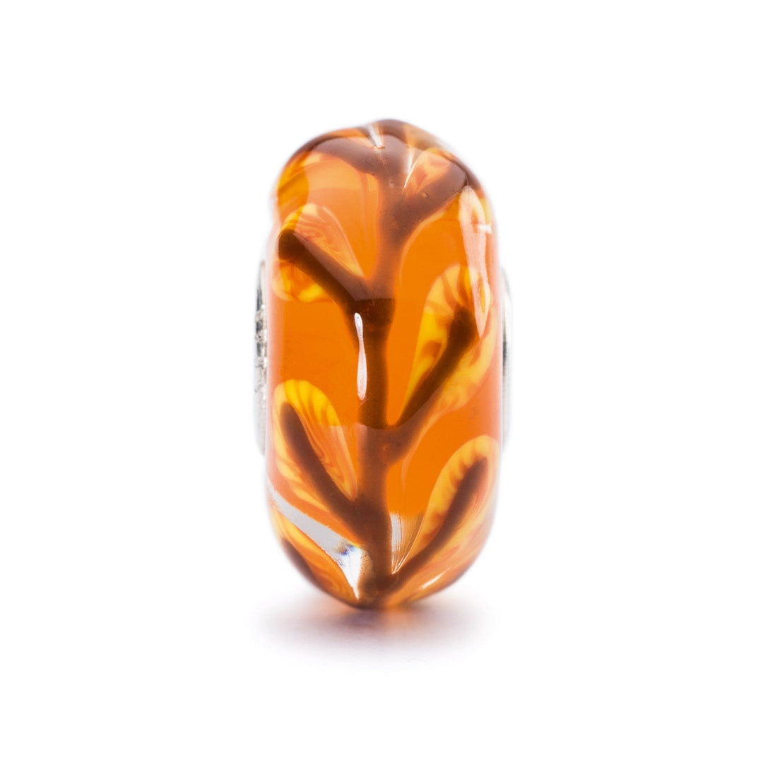 Summer Nature Kit – Trollbeads